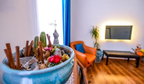 Atrium 22 Apartment 锡吉什瓦拉 外观 照片